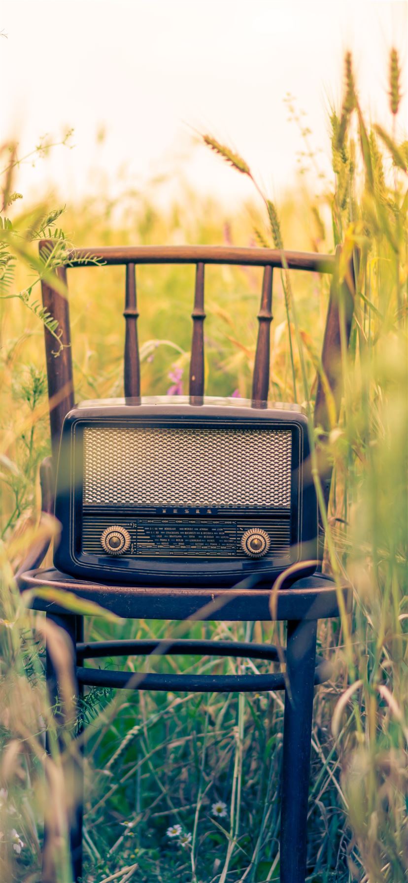 black transistor radio in the middle of the field iPhone 11 wallpaper 