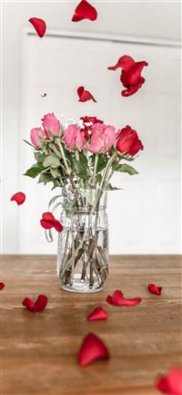 pink and red roses on clear glass vase wallpaper