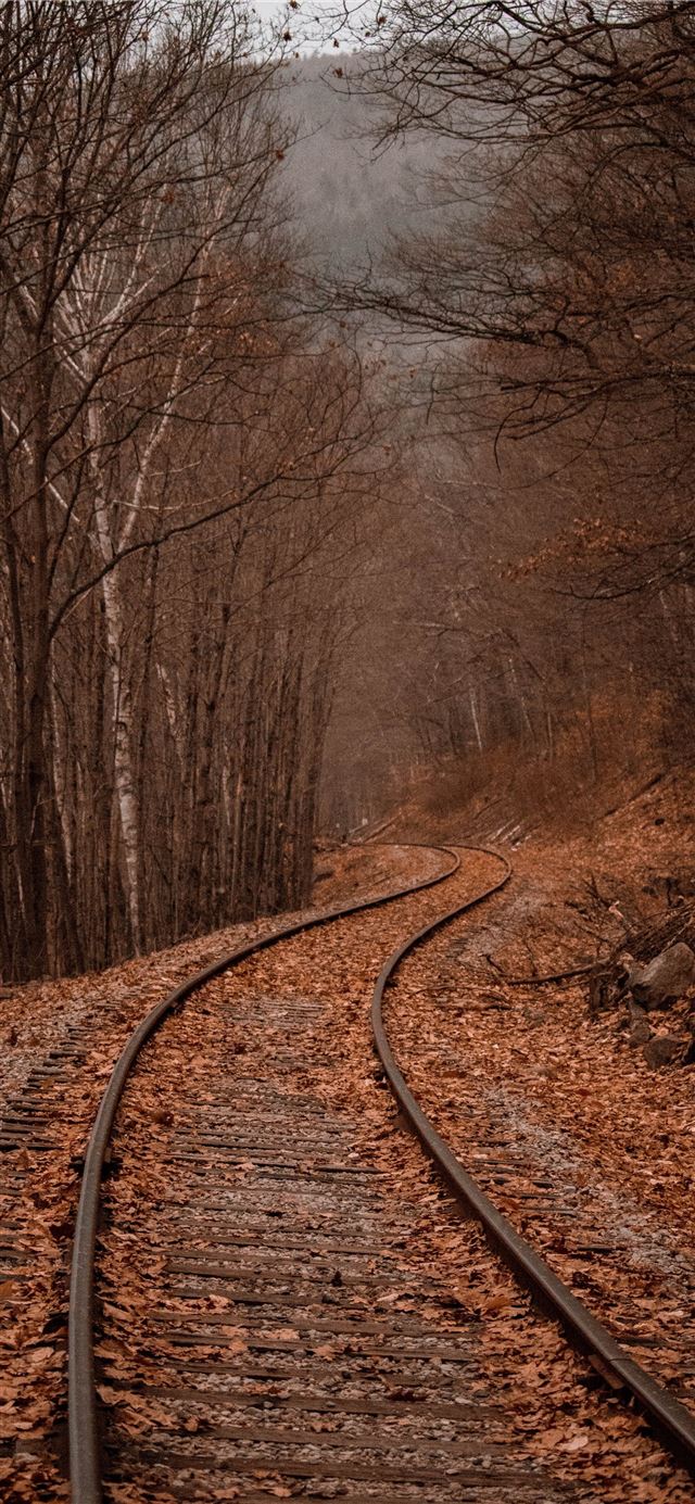 1125x2436 landscape photography of train rails between fores... - united states iPhone 11 Wallpaper