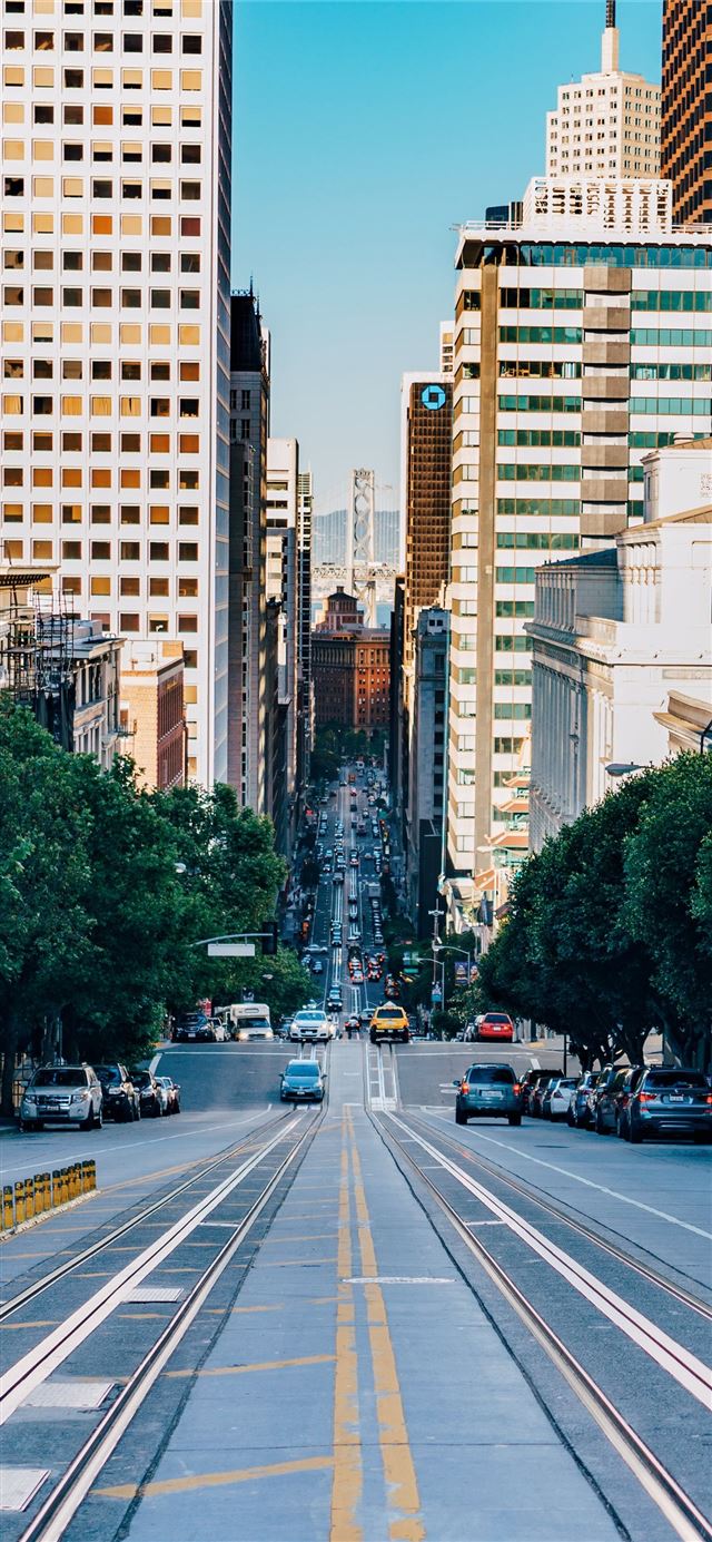 1125x2436 gray concrete city road during daytime -  iPhone 11 Wallpaper