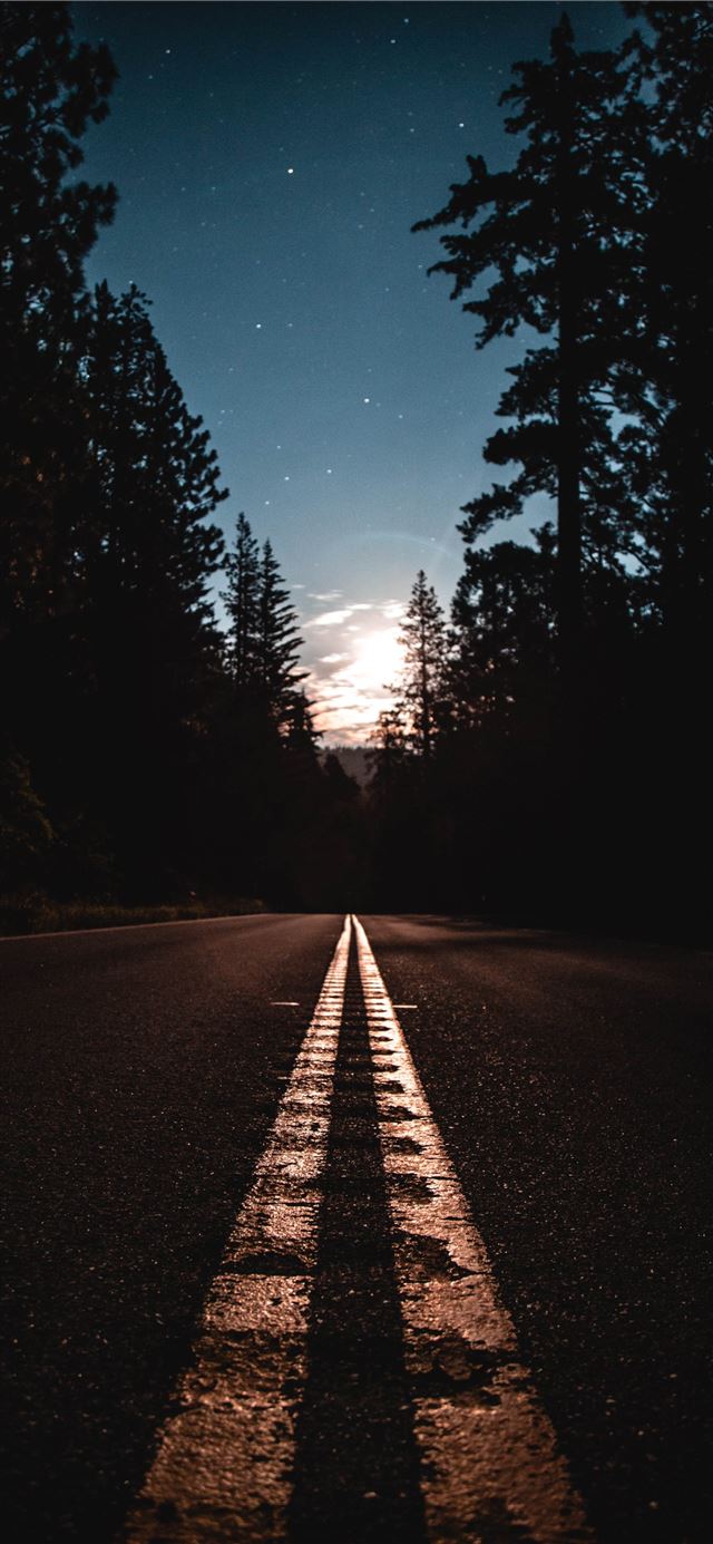 1125x2436 asphalt road between pine trees -  iPhone 11 Wallpaper