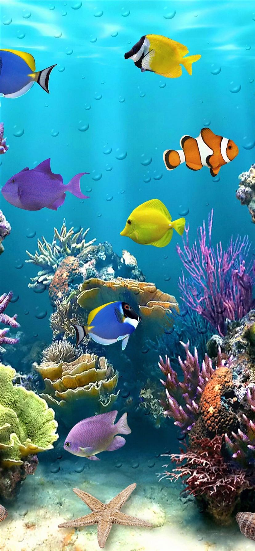 aquarium iPhone Wallpapers Free Download