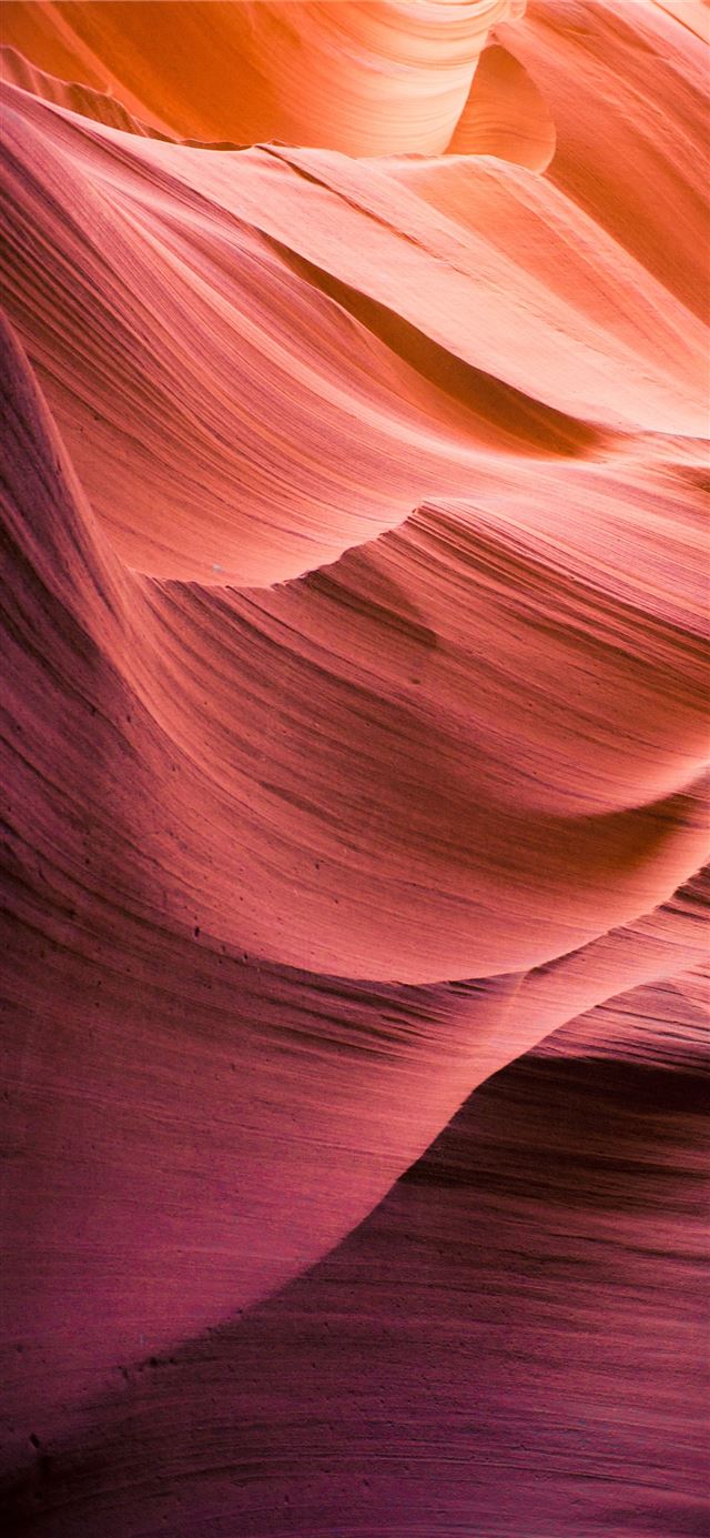 1284x2778 red and maroon wallpaper -  iPhone 11 Wallpaper
