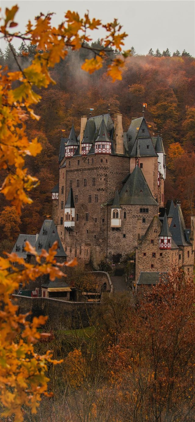 1125x2436 brown concrete castle surround by trees -  iPhone 11 Wallpaper