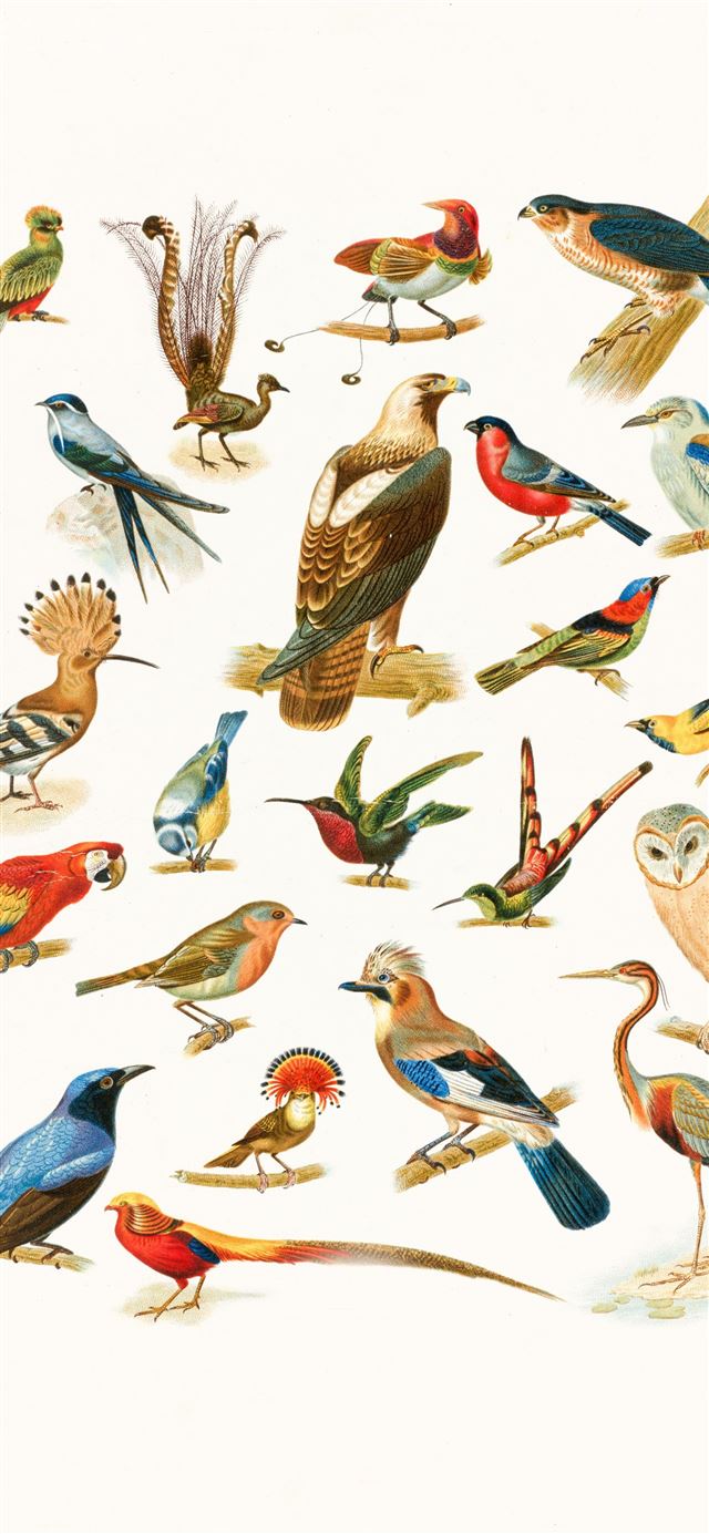 1125x2436 birds flying over body of water painting -  iPhone 11 Wallpaper