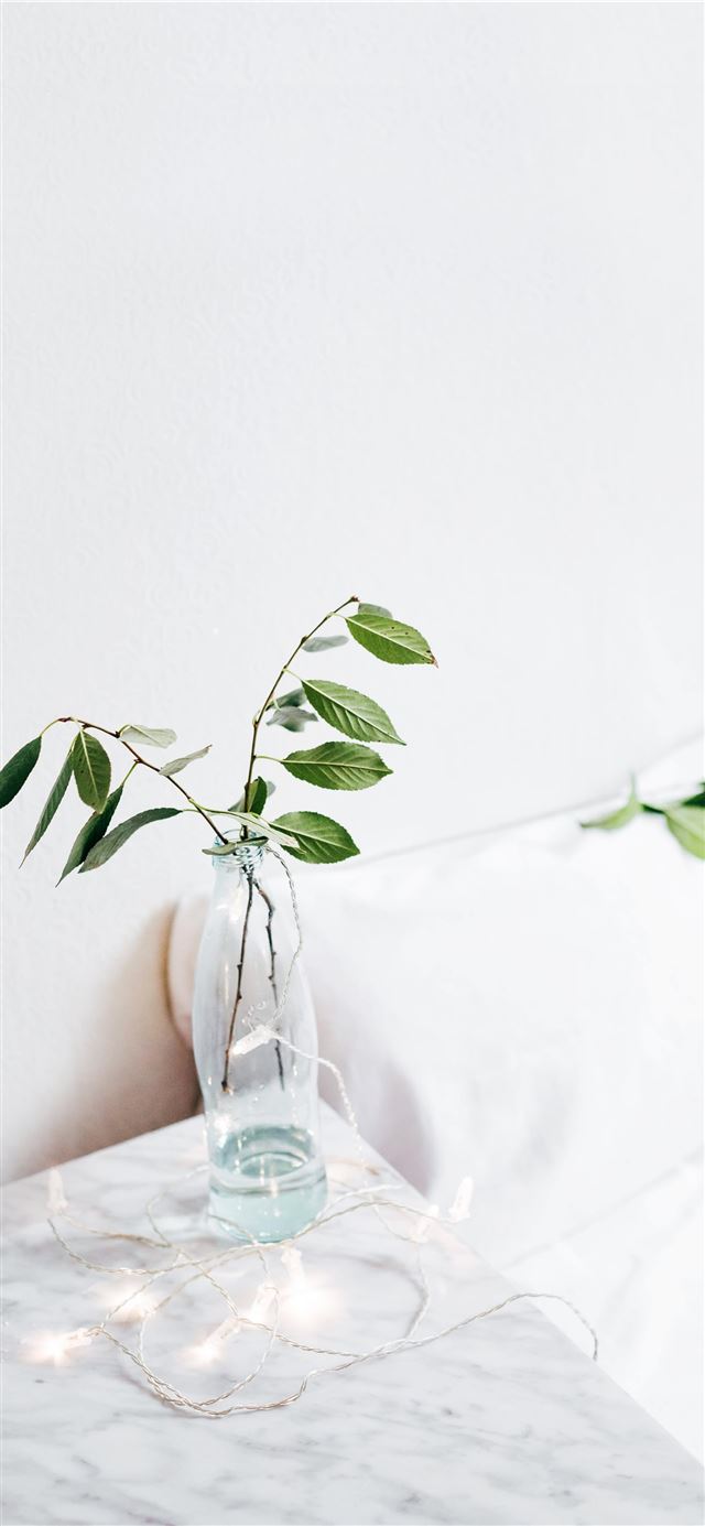 1125x2436 green leafed plant on vase on table -  iPhone 11 Wallpaper