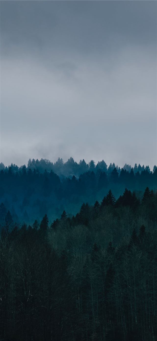 1284x2778 mistlands with gray clouds -  iPhone 11 Wallpaper
