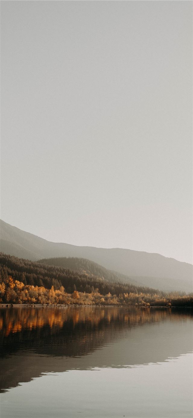 1284x2778 photo of calm body of water near trees -  iPhone 11 Wallpaper