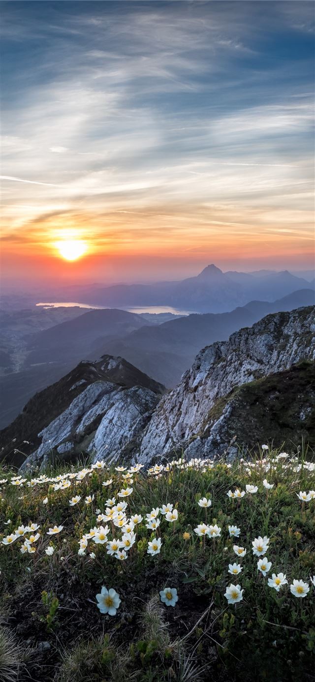 1284x2778 bird's eye view of gray mountain during daytime -  iPhone 11 Wallpaper