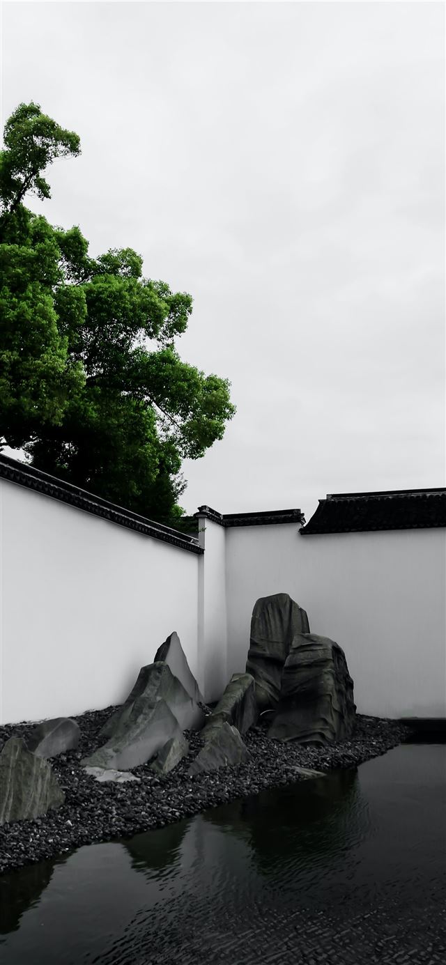 1284x2778 rock formation near green leafed tree -  iPhone 11 Wallpaper