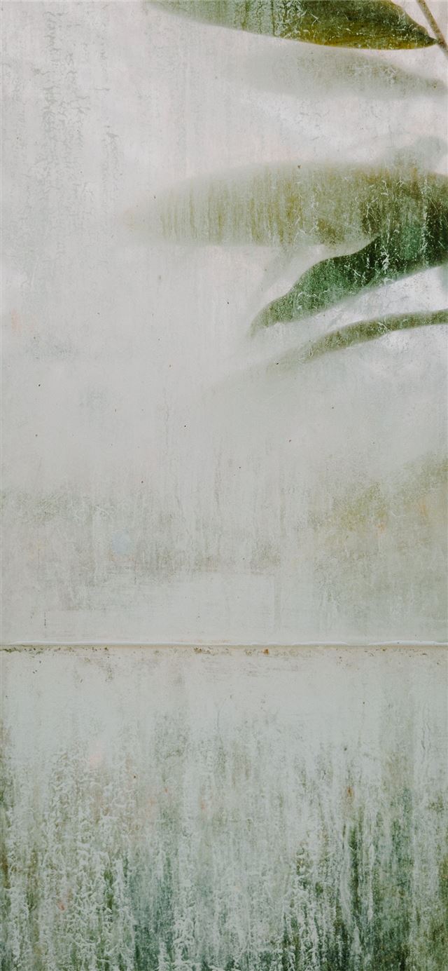 1284x2778 Green Grime -  iPhone 11 Wallpaper