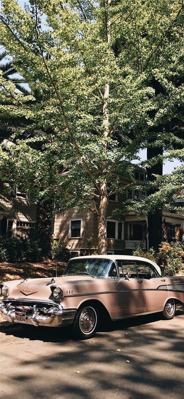 1284x2778 vintage pink sedan parked in front of tree -  iPhone 11 Wallpaper
