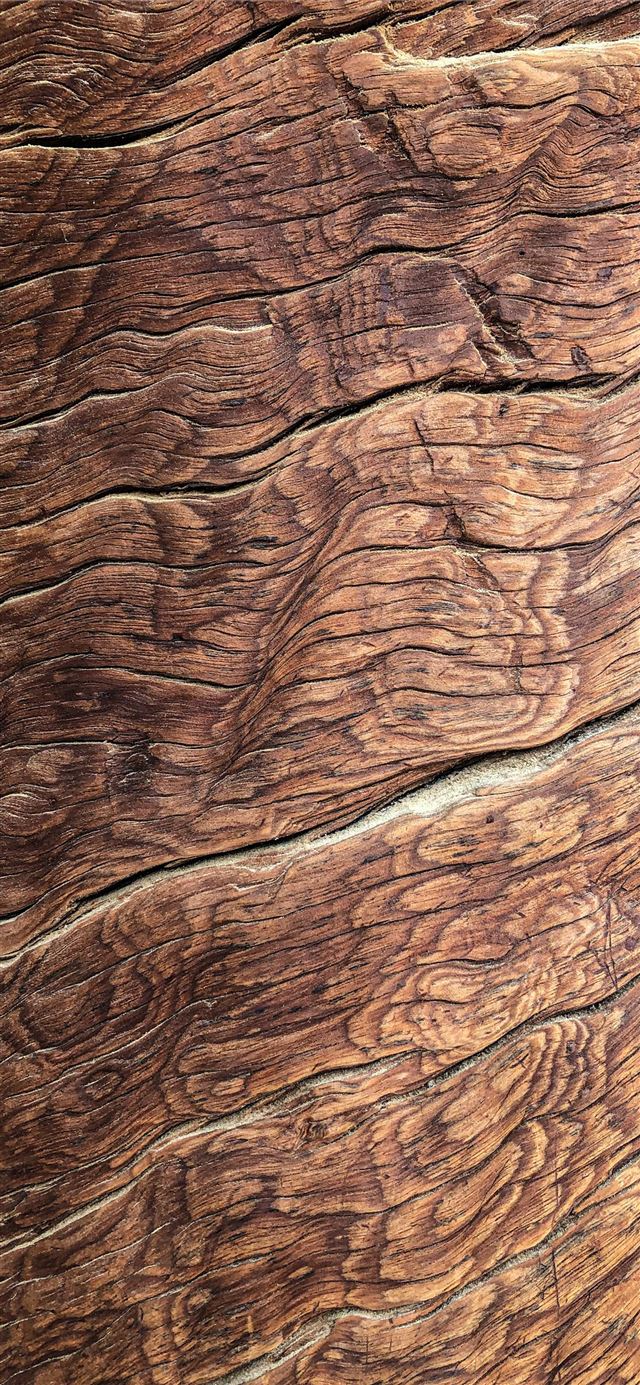 1284x2778 brown tree bark -  iPhone 11 Wallpaper