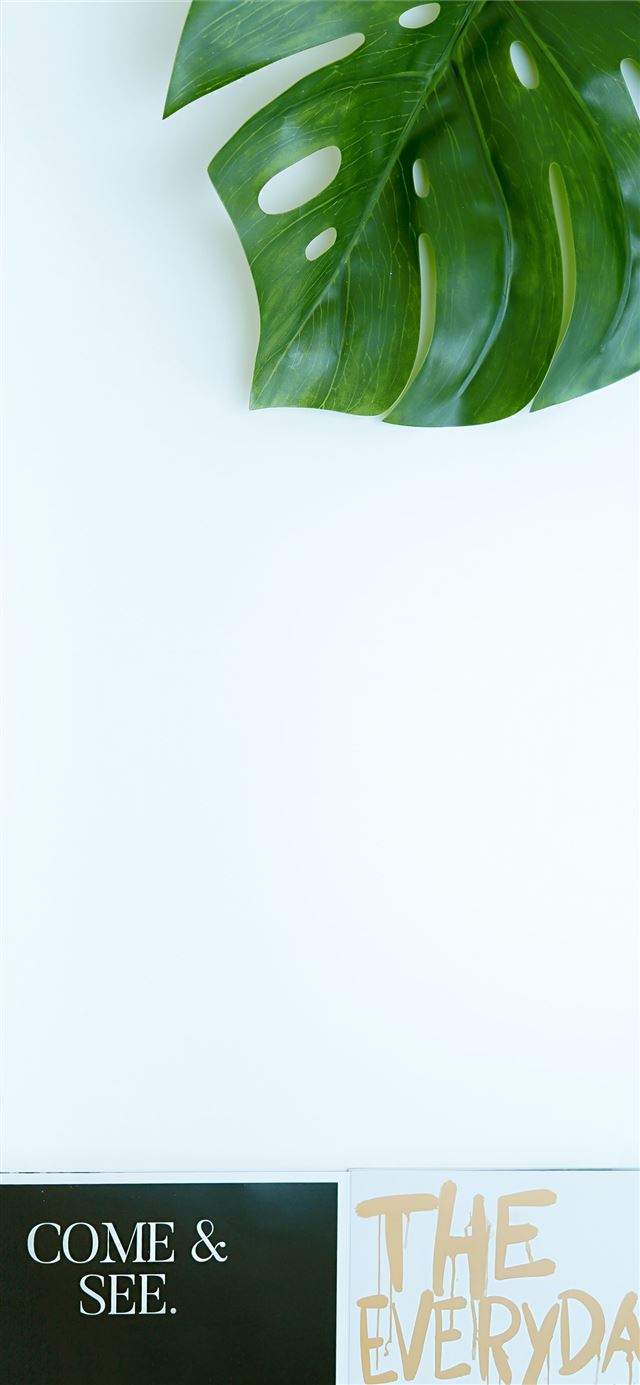 1284x2778 green leaf plant -  iPhone 11 Wallpaper