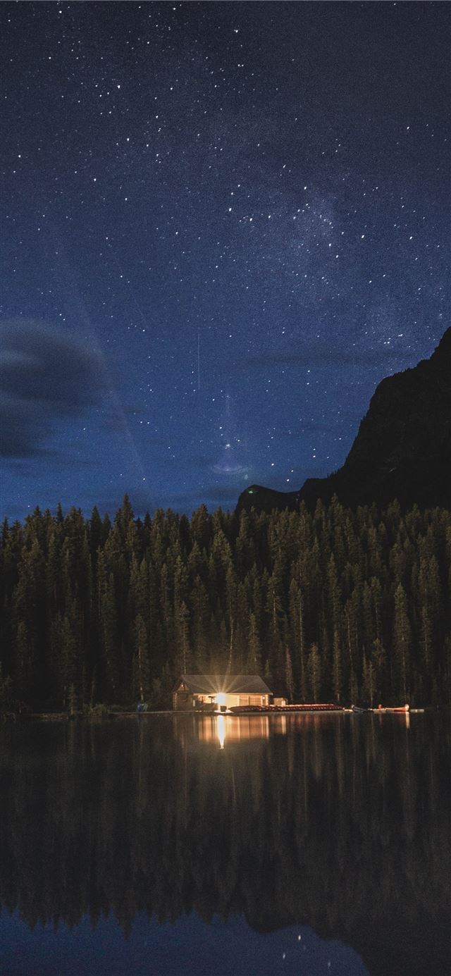 1125x2436 grass field -  iPhone 11 Wallpaper