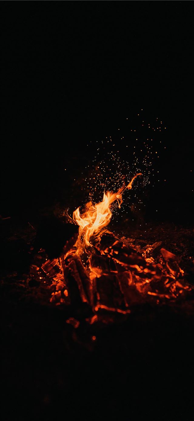 1284x2778 photo of bonfire -  iPhone 11 Wallpaper