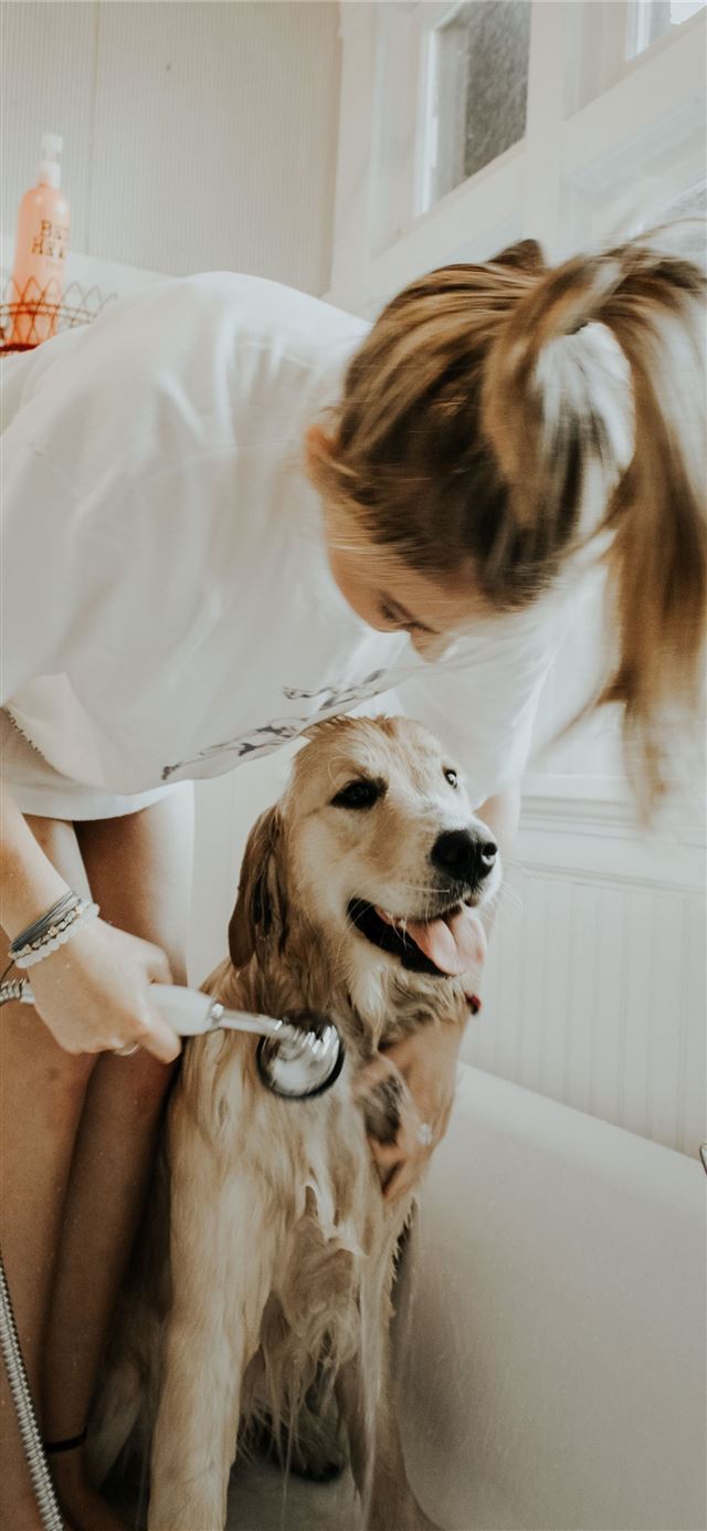 1125x2436 woman bathing dog in bathtub -  iPhone 11 Wallpaper