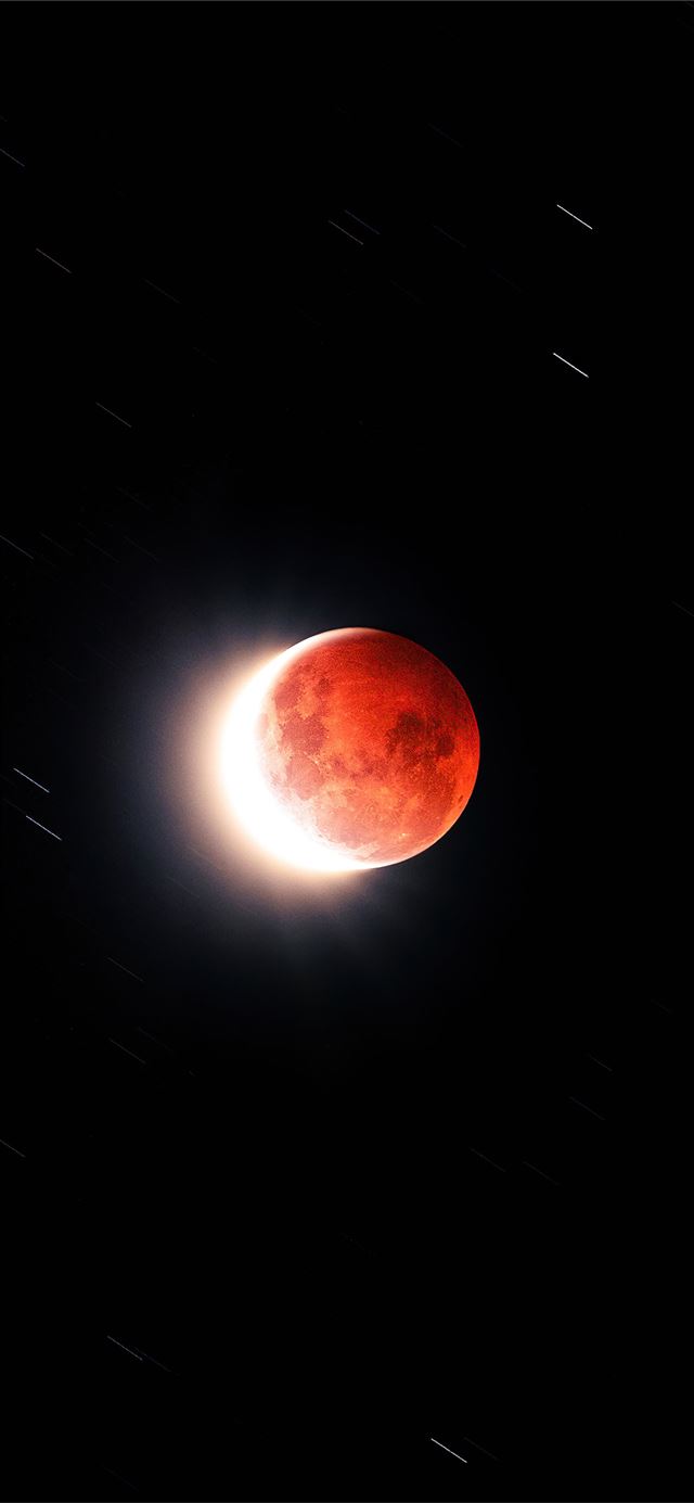 1284x2778 flower blood moon 5k -  iPhone 11 Wallpaper
