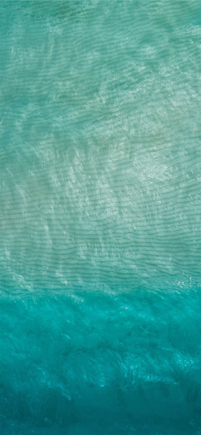 1125x2436 close up photo of green cloth -  iPhone 11 Wallpaper