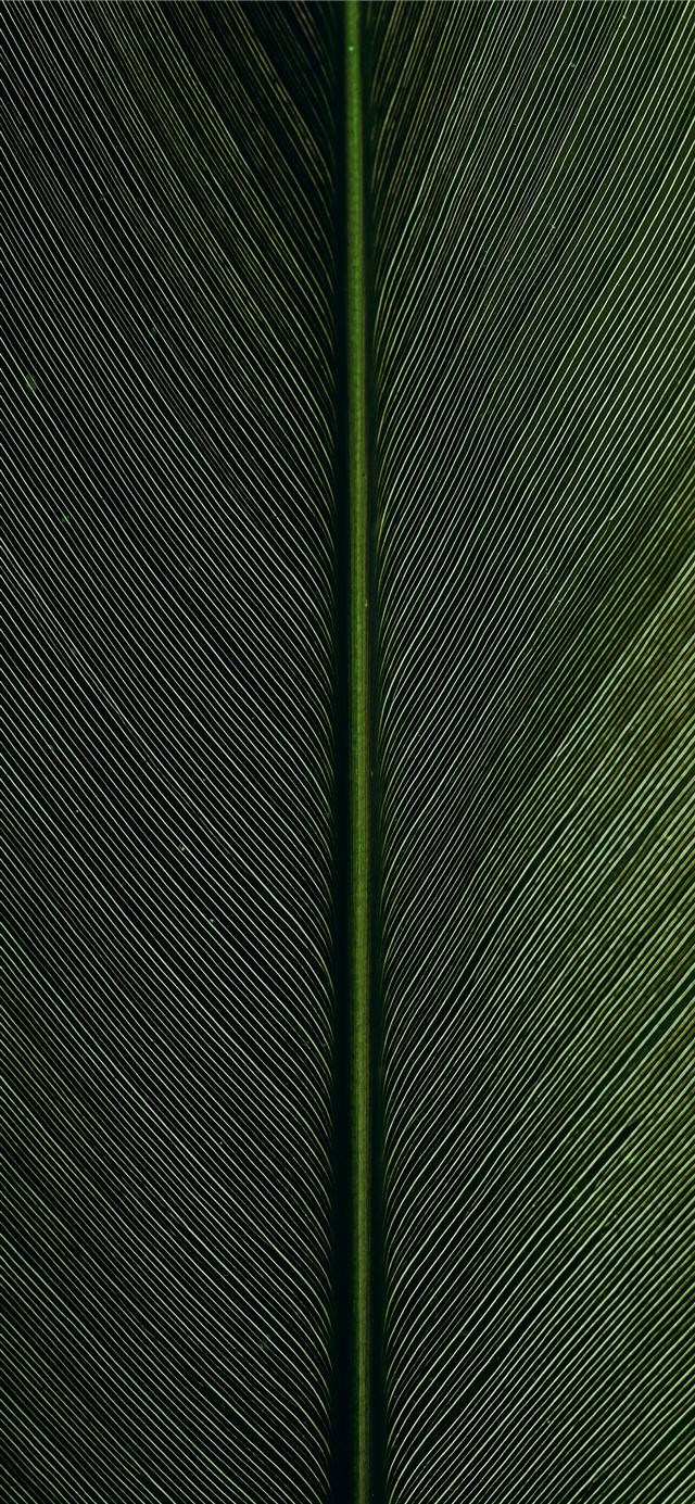1284x2778 green metal rod on black and white pinstripe texti... -  iPhone 11 Wallpaper