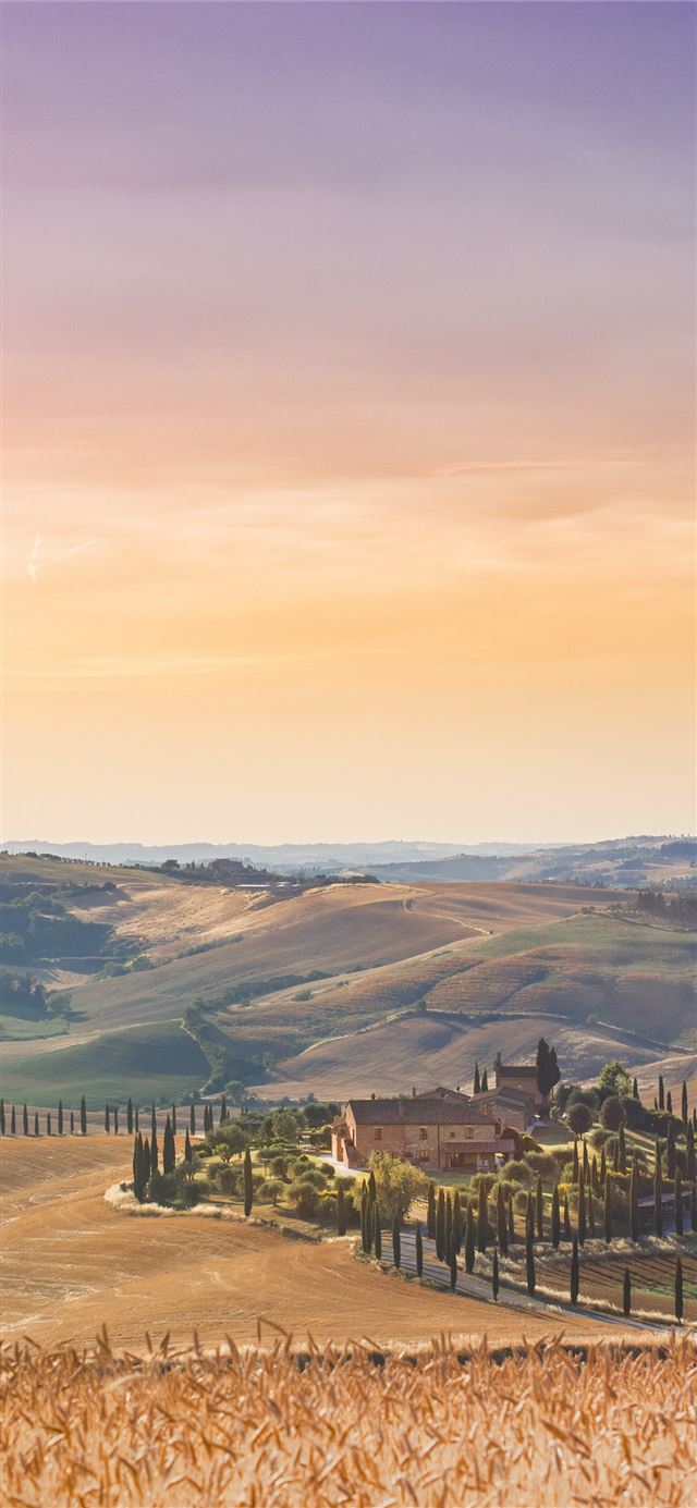 1284x2778 house surrounded by plants and grass field -  iPhone 11 Wallpaper