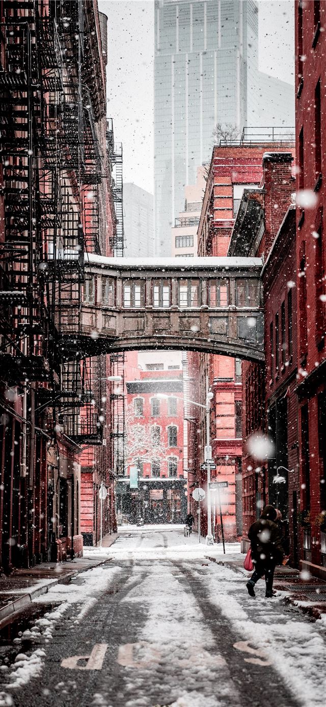 1284x2778 person walking on the street during daytime -  iPhone 11 Wallpaper