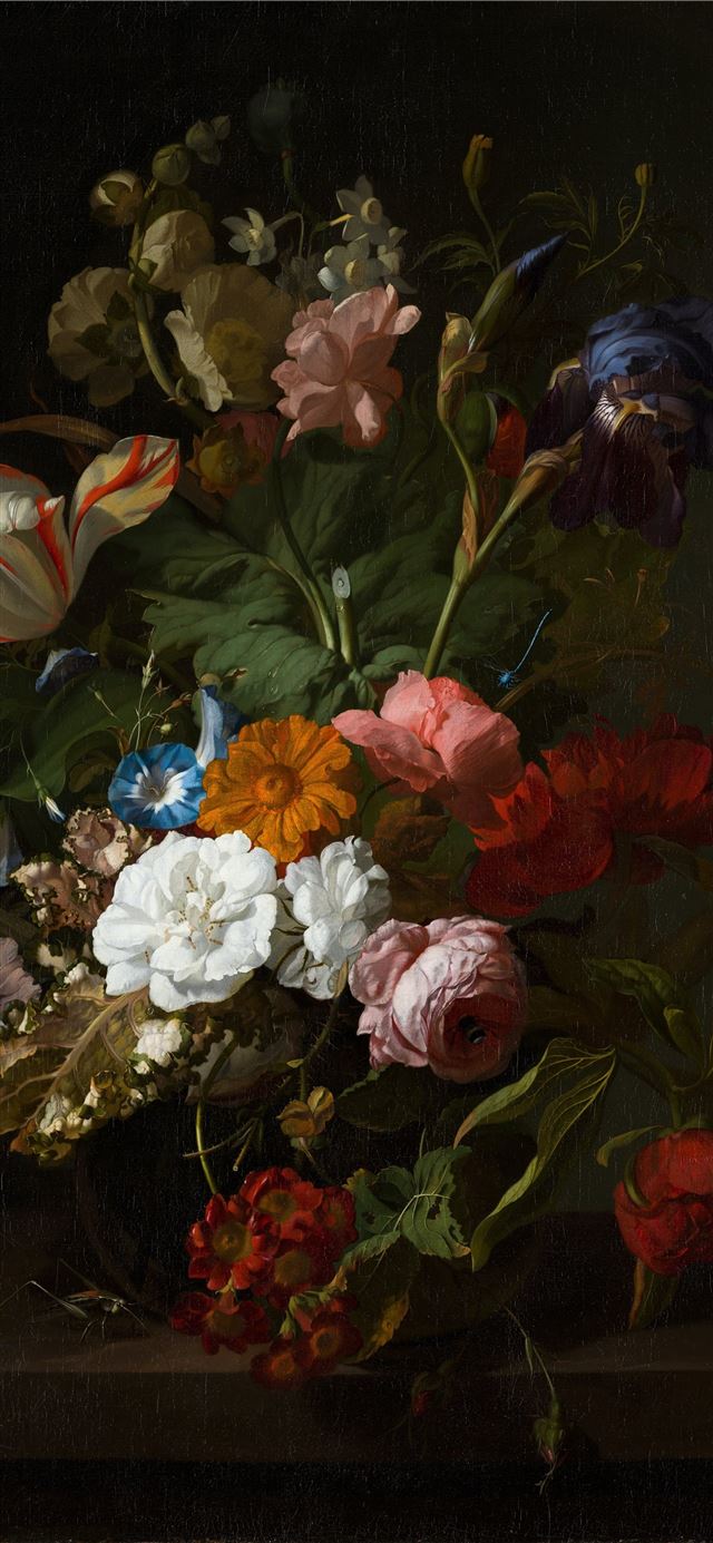 1284x2778 red blue and white flowers -  iPhone 11 Wallpaper