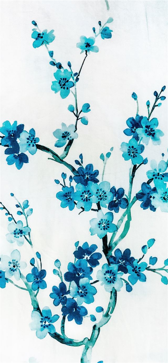 1284x2778 Blue flowers with white background -  iPhone 11 Wallpaper