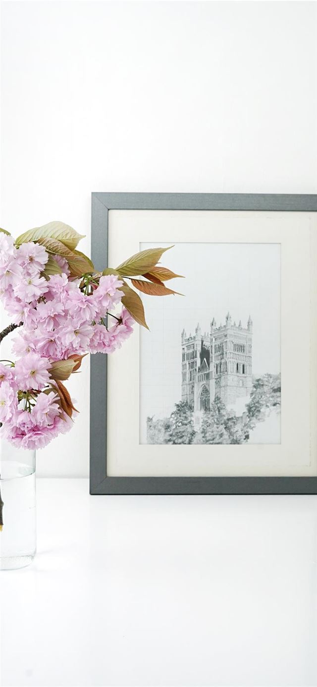 3 Wallpapers In home decor Wallpapers For iPhone 11