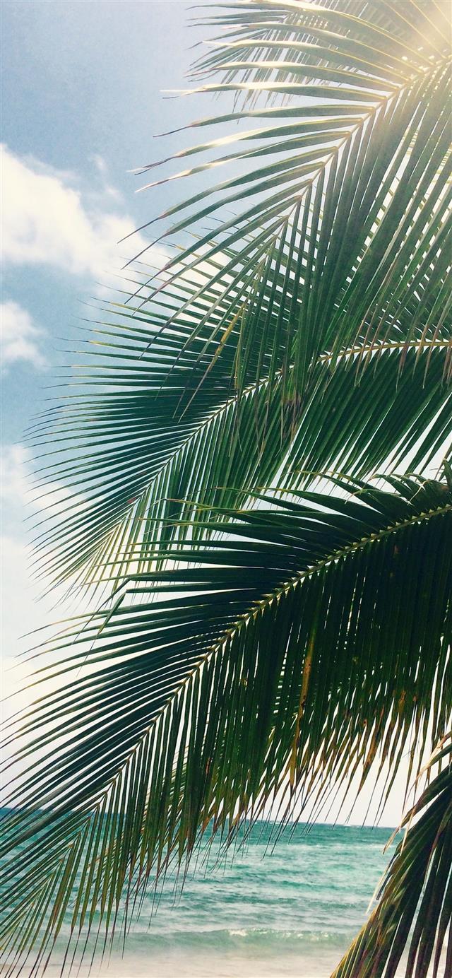 22 Wallpapers In Bolivia Wallpapers For iPhone 11