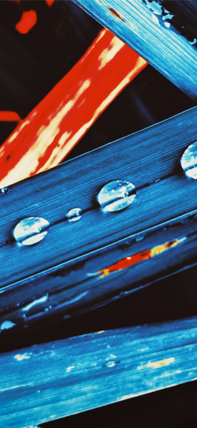 1125x2436 water drops leaves - drops iPhone 11 Wallpaper