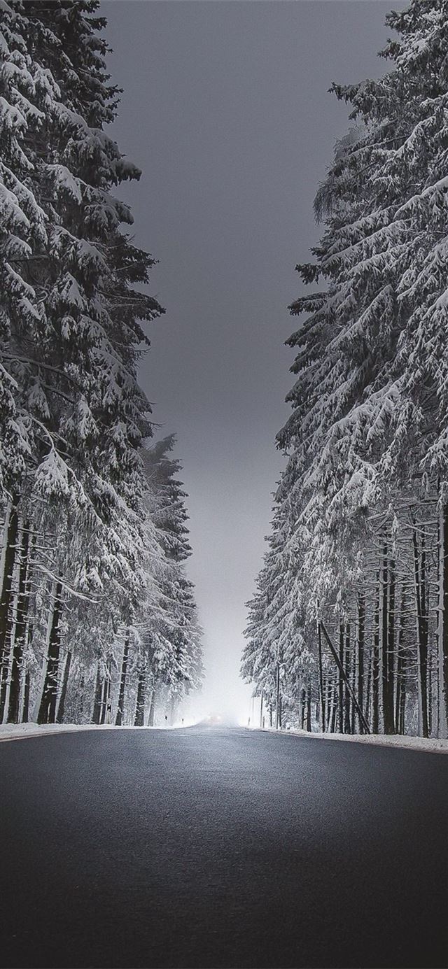 1125x2436 winter road asphalt snow - winter iPhone 11 Wallpaper