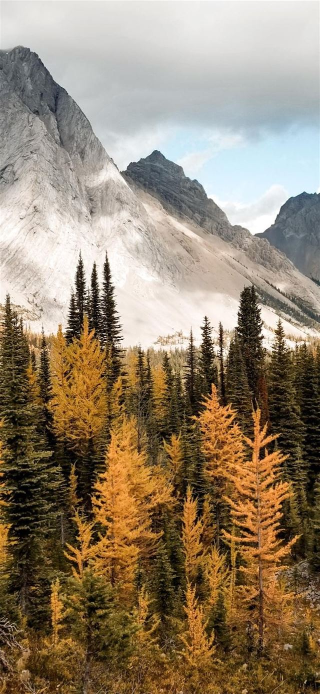 Best Nature iPhone 11 HD Wallpapers - iLikeWallpaper