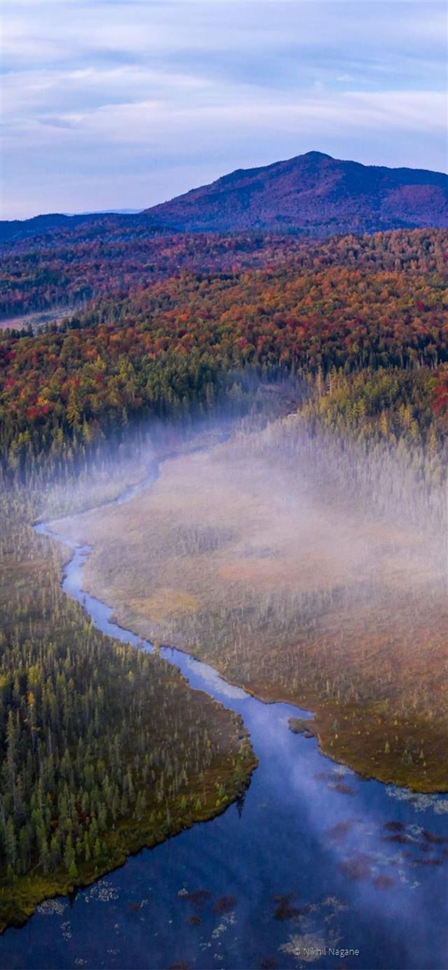 1125x2436 beginning of autumn - autumn iPhone 11 Wallpaper