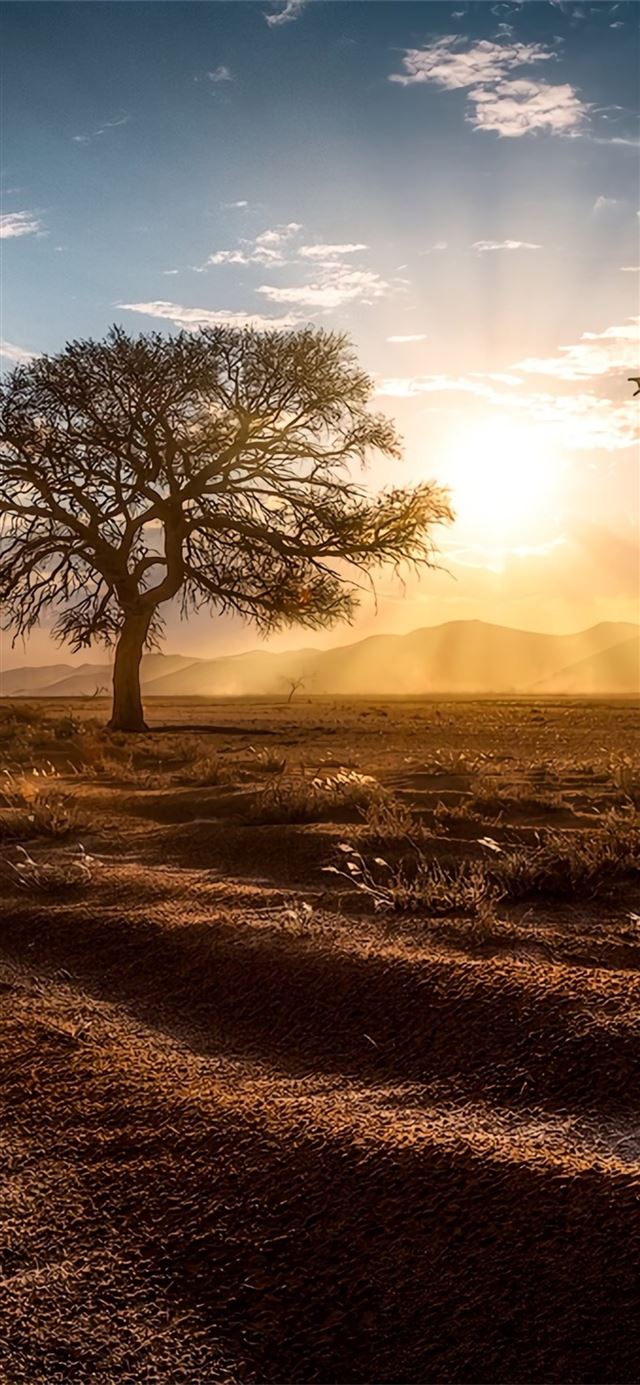 1125x2436 sun beams landscape - landscape iPhone 11 Wallpaper