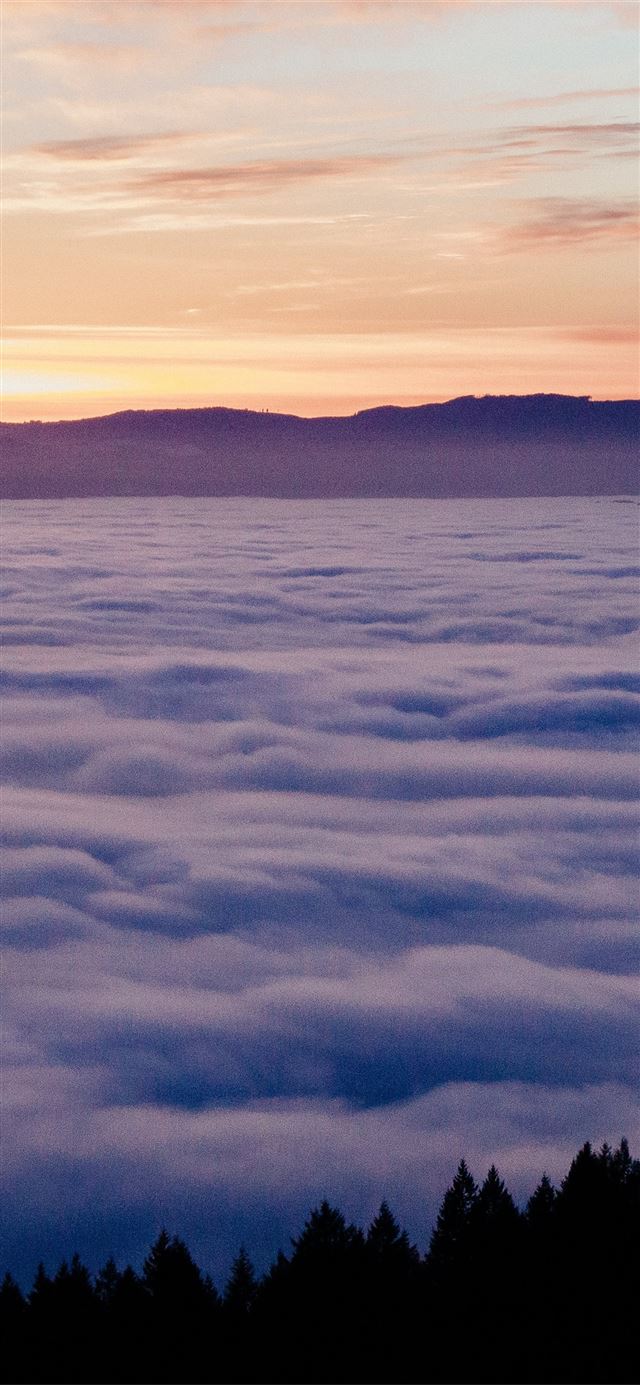 1125x2436 sea of clouds 4k 5k - 5k iPhone 11 Wallpaper