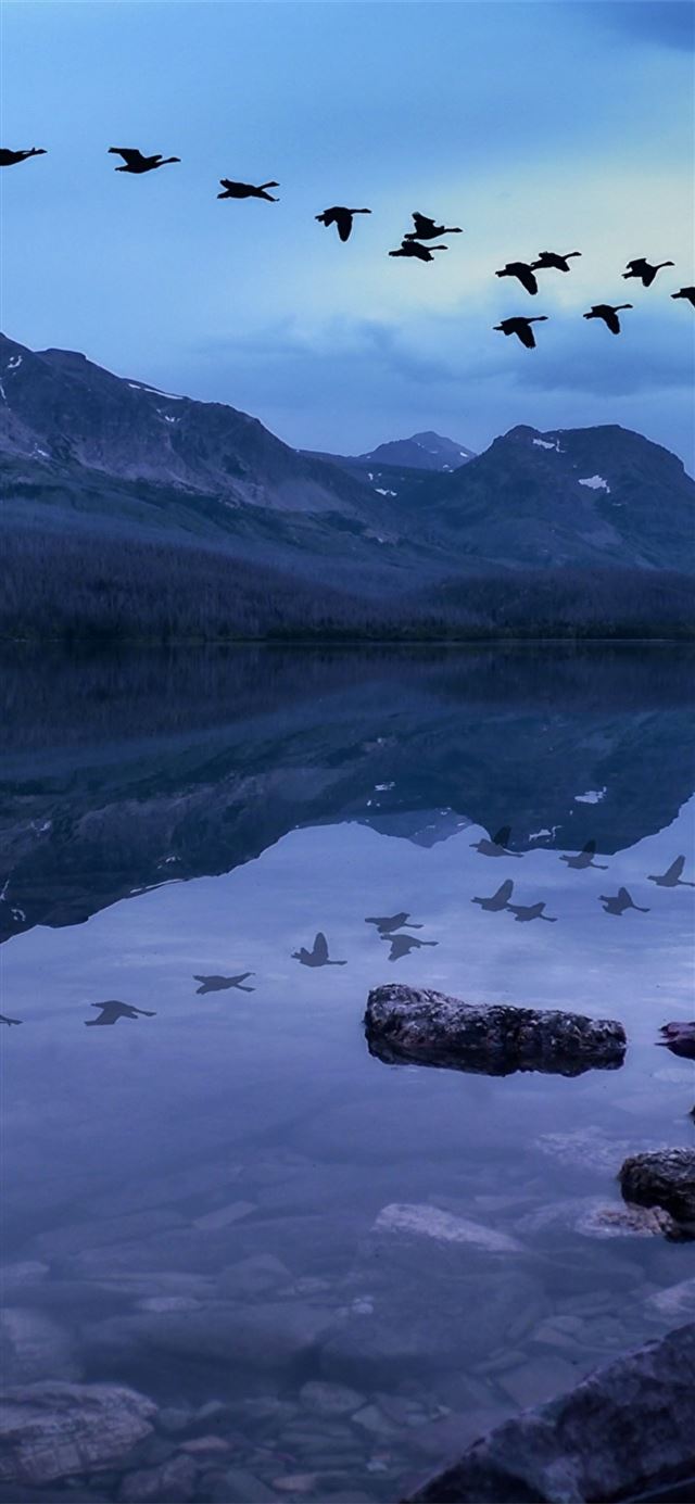 1125x2436 birds mountains stones evening lake - evening iPhone 11 Wallpaper