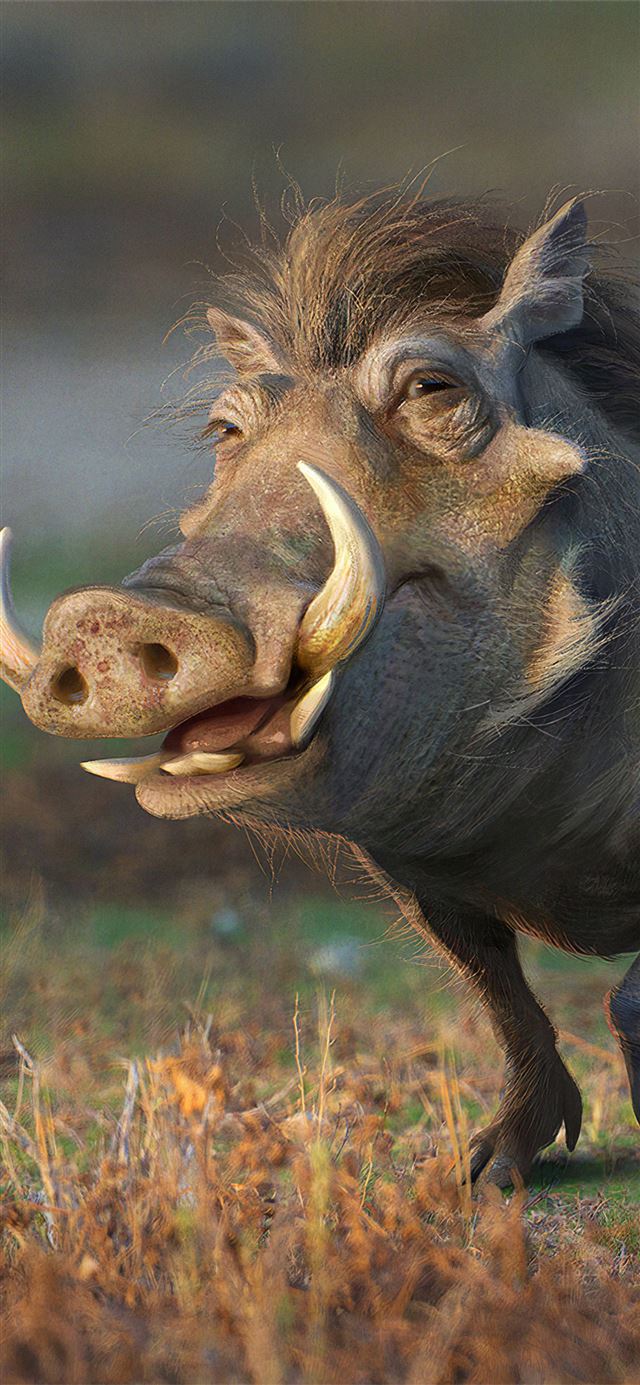 1125x2436 pumbaa lion king - behance iPhone 11 Wallpaper