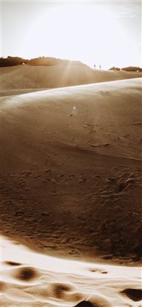 desert at dusk wallpaper