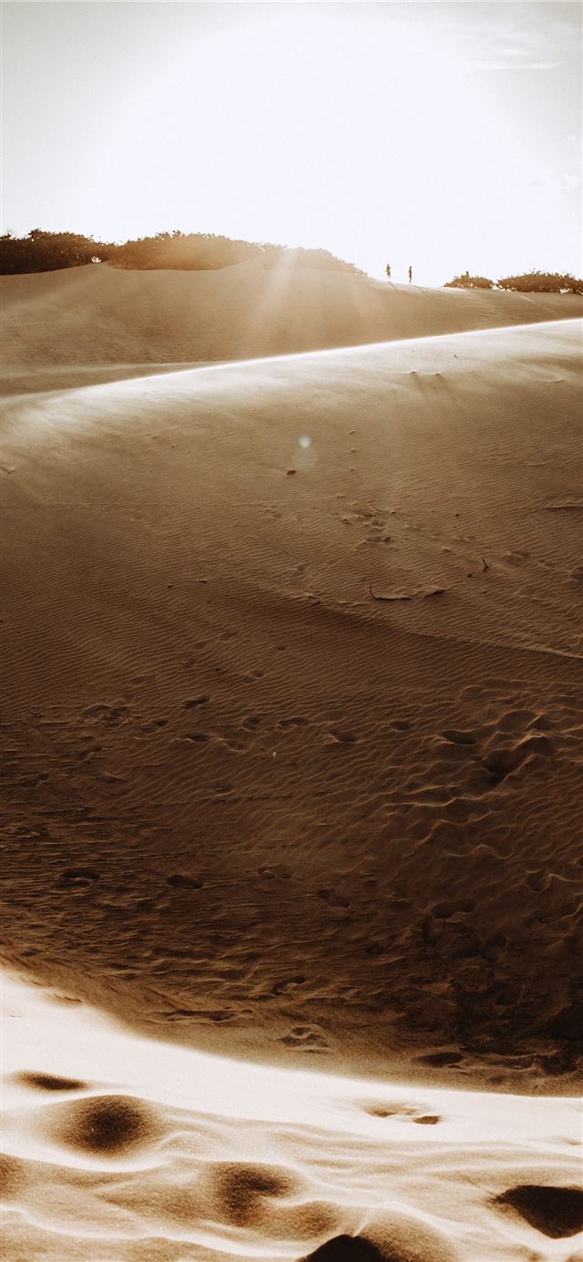 1125x2436 desert at dusk - sunset iPhone 11 Wallpaper