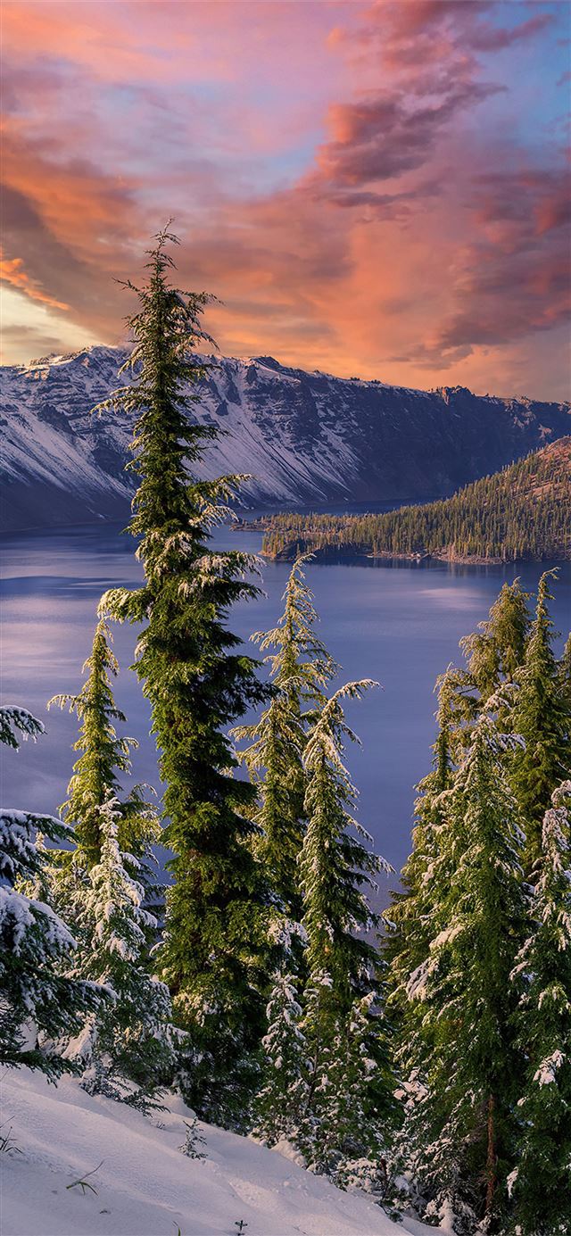1125x2436 winter snow trees mountains landscape hdr 4k - winter iPhone 11 Wallpaper