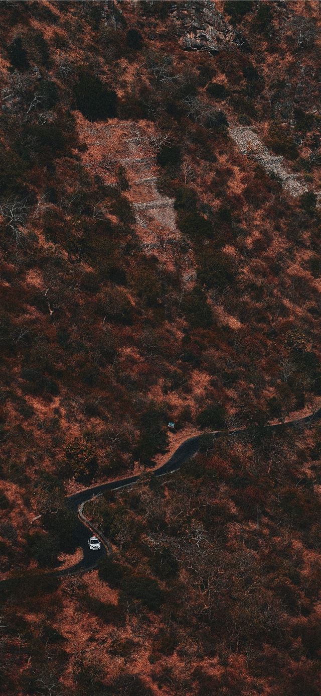 1125x2436 aerial green trees - scenery iPhone 11 Wallpaper