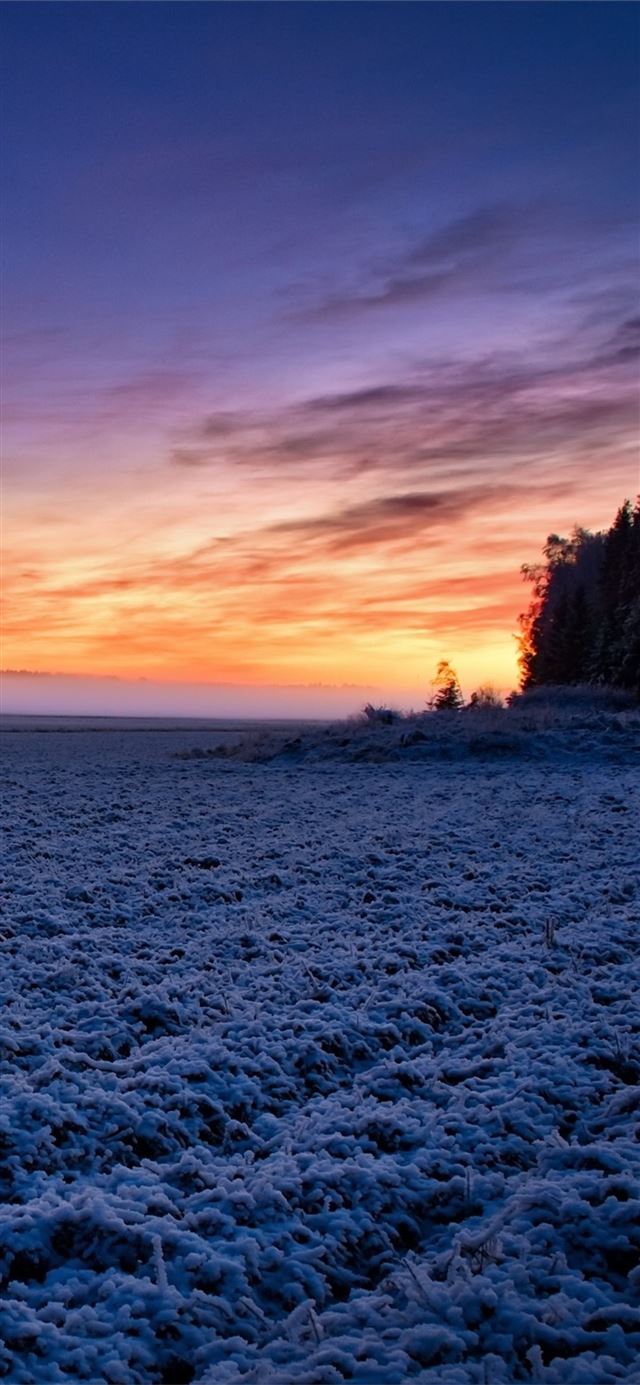 1125x2436 field moody sunlight landscape - field iPhone 11 Wallpaper