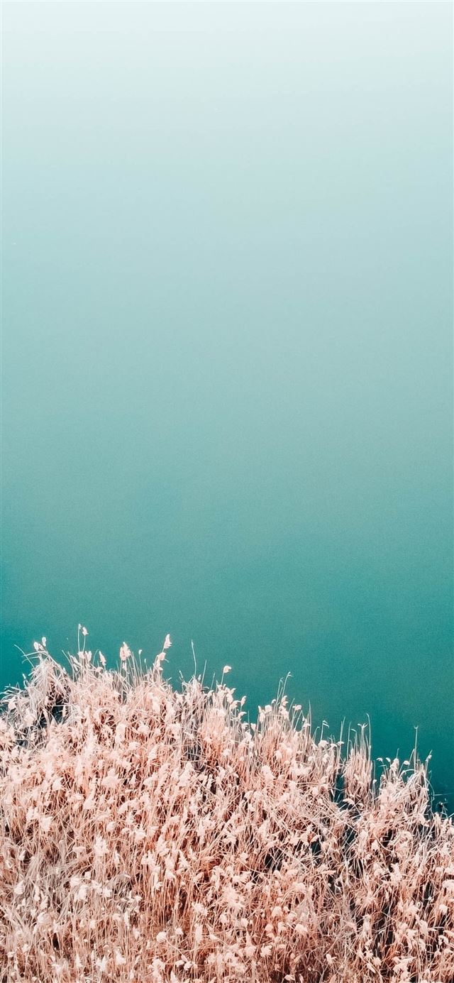 1125x2436 brown white rock formation 4k - 4k iPhone 11 Wallpaper