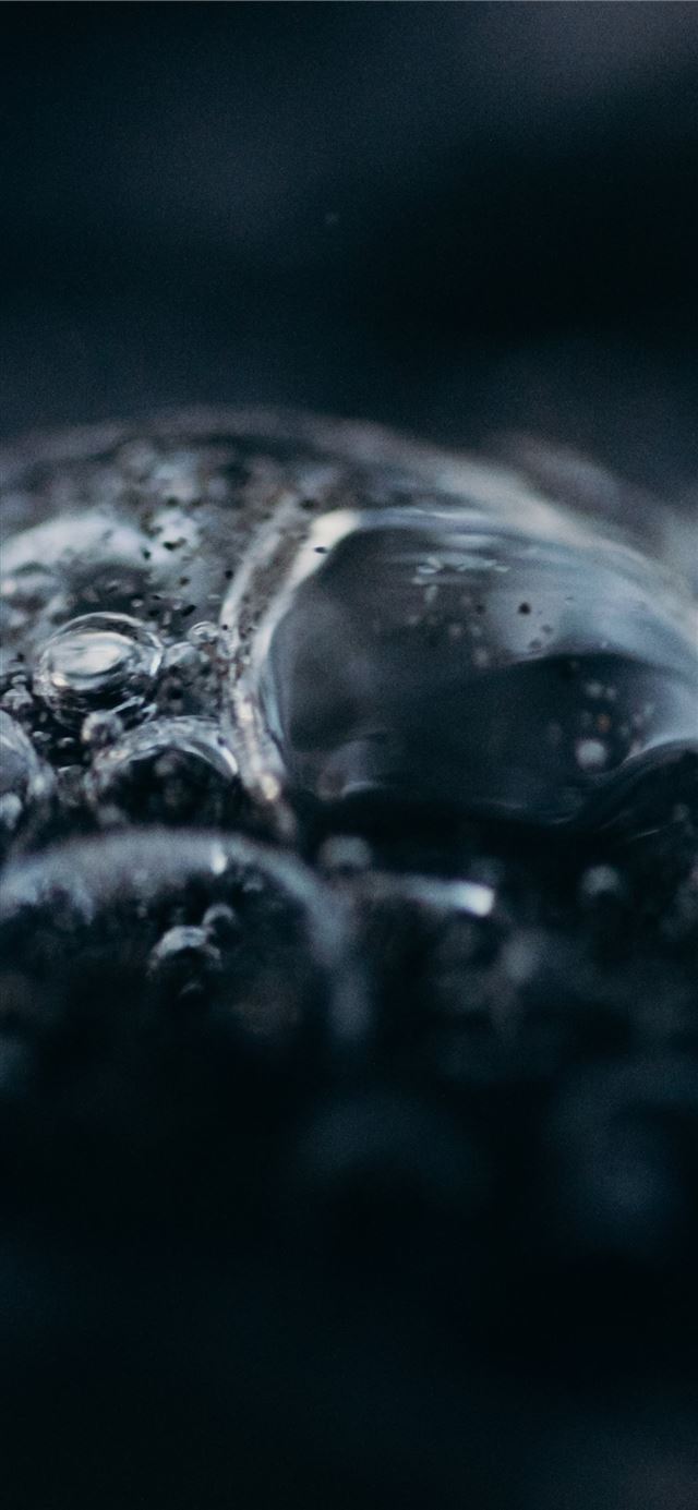1125x2436 Monster from the deep - new zealand iPhone 11 Wallpaper