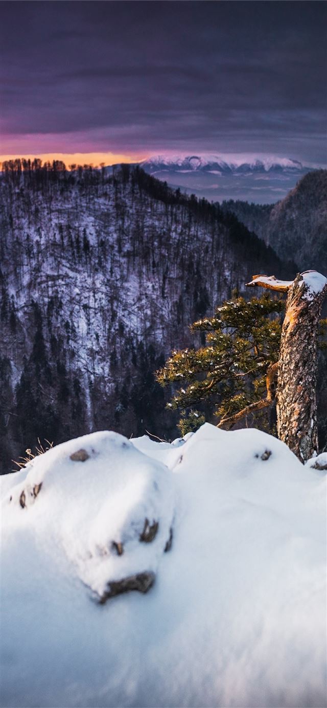 1125x2436 winter landscape snow - winter iPhone 11 Wallpaper