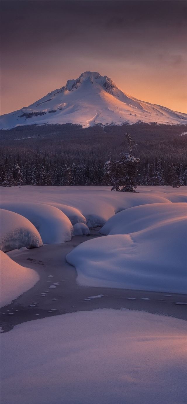 1125x2436 mount hood - nature iPhone 11 Wallpaper