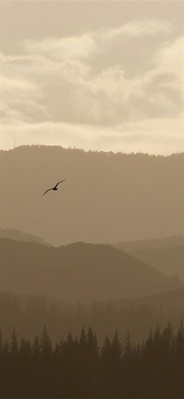 1125x2436 abel tasman national park 4k - fog iPhone 11 Wallpaper