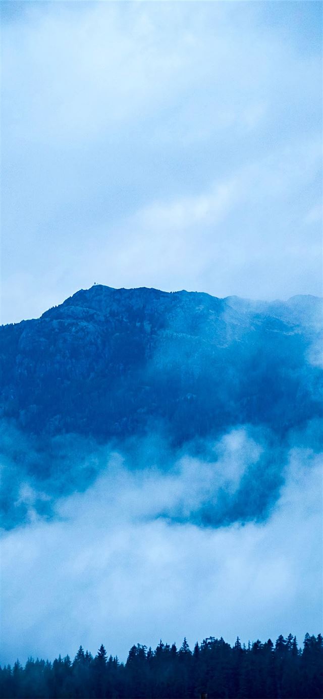 1125x2436 nature fog 4k - fog iPhone 11 Wallpaper