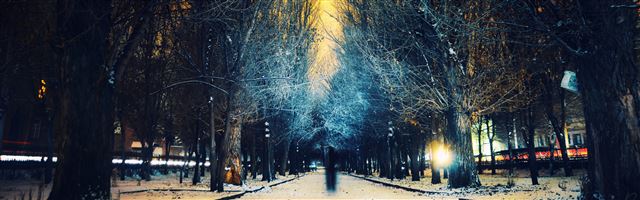 3840x1200 Armenia Gyumri - tree iPhone Panoramic Wallpaper